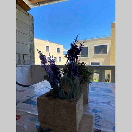 דירות סלאטינה Apartman Toma מראה חיצוני תמונה
