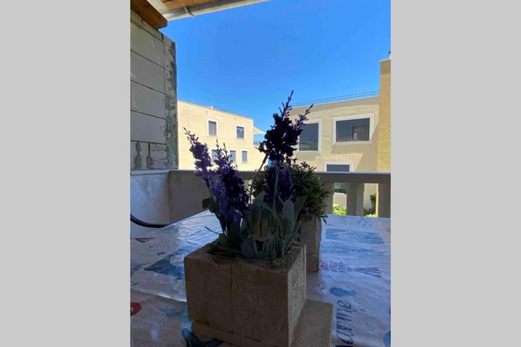 דירות סלאטינה Apartman Toma מראה חיצוני תמונה